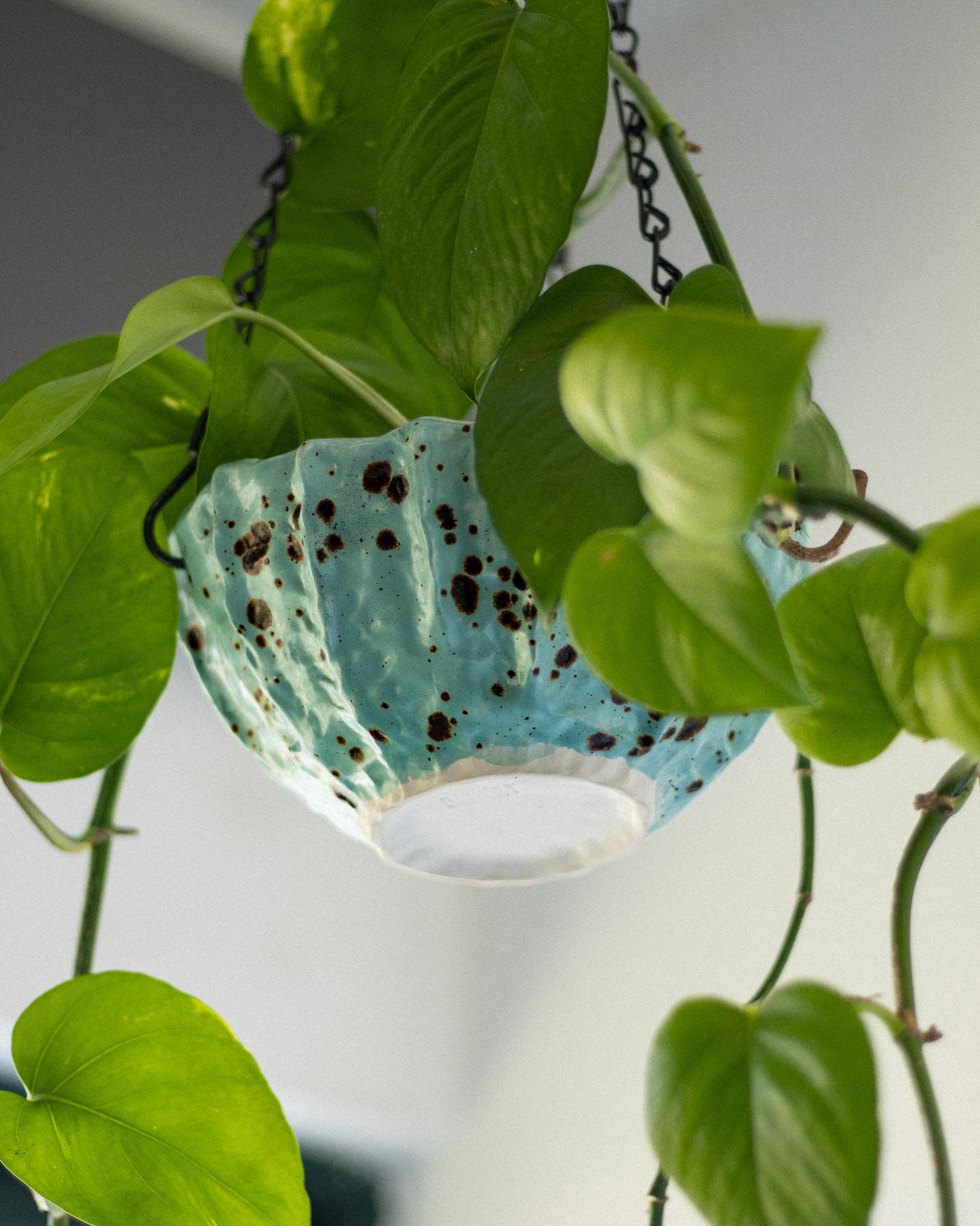 Vaso Suspenso Cerâmica Artesanal LAPA