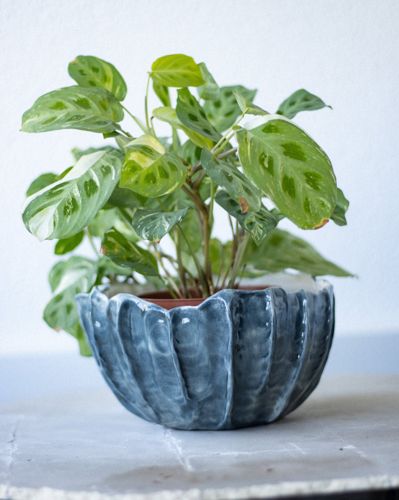 Vaso Cerâmica Artesanal LAPA Médio