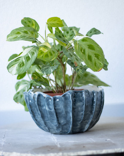 Vaso Cerâmica Artesanal LAPA Médio