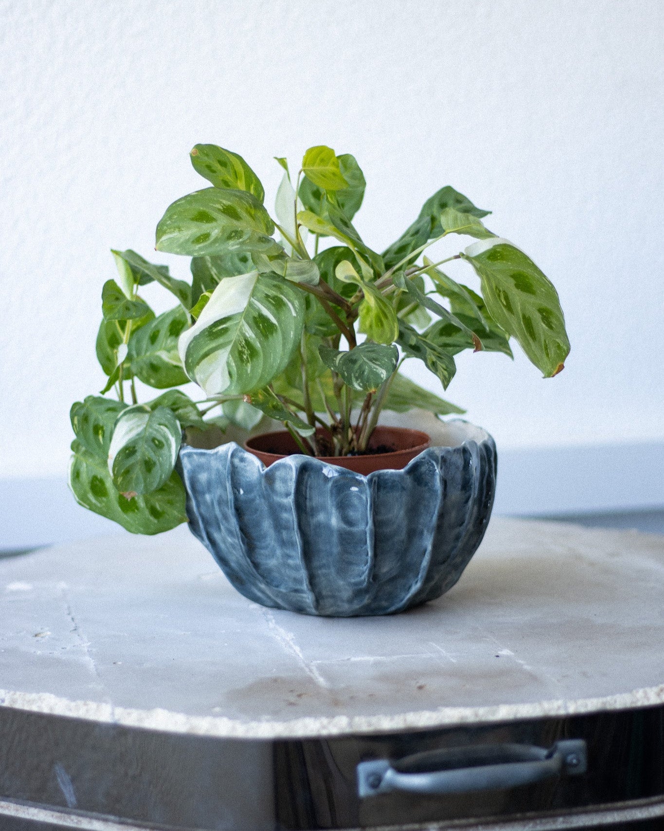 Vaso Cerâmica Artesanal LAPA Médio