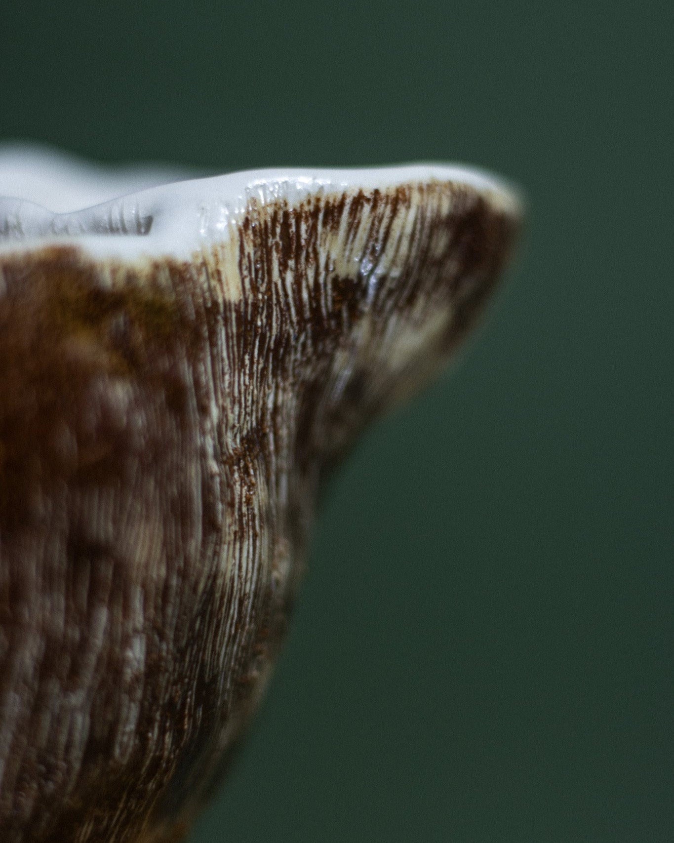 Taça Aperitivos Cerâmica Artesanal COCO NEST 2.0